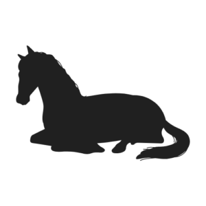 Pferd im Footer